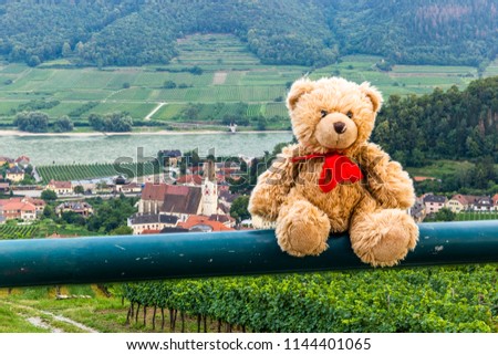 Teddy bear Dranik in Wachau valley.