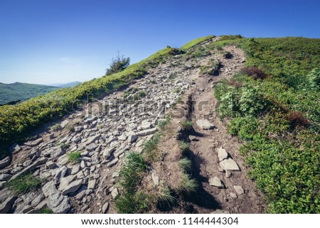 Hking path to mount Halicz in Bieszczady National Park, Subcarpathian Voivodeship of Poland