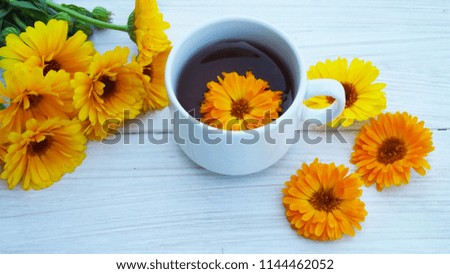 Useful medicinal herb calendula.Brew for the cure.