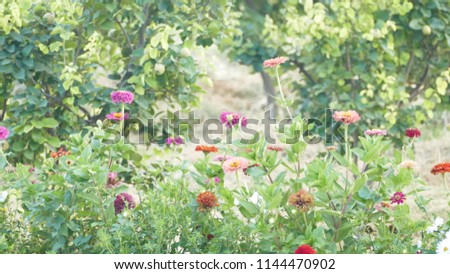 Flowers, nature, art Royalty-Free Stock Photo #1144470902