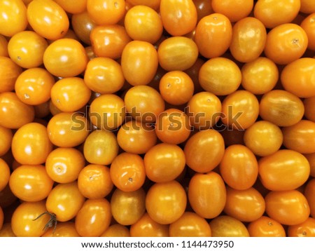 Yellow tomato background. Group of fresh tomatoes. Cherry tomato background