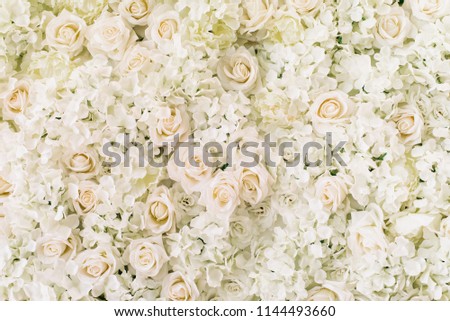 white cream roses, hydrangea and peonies flower as background and decoration, stock photo image