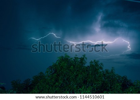 Night shot of tree with thunderstorm in the background