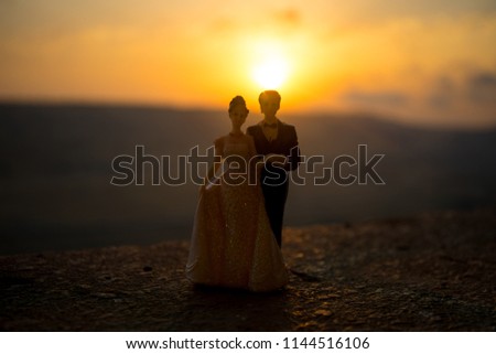 silhouette of wedding Couple statue holding hand together during sunset with evening sky background. Wedding concept. Selective focus