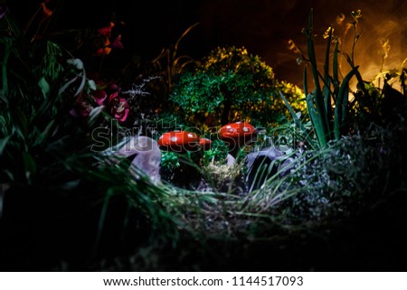 Three red mushrooms. Fantasy Glowing Mushrooms in mystery dark forest close-up. Beautiful macro shot of magic mushroom, fungus. Amanita muscaria, Fly Agaric in moss in forest. Selective focus