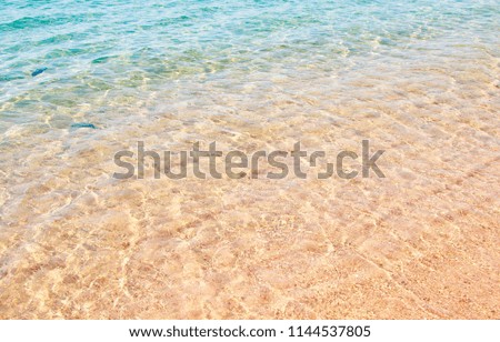 sea sandy coast water
