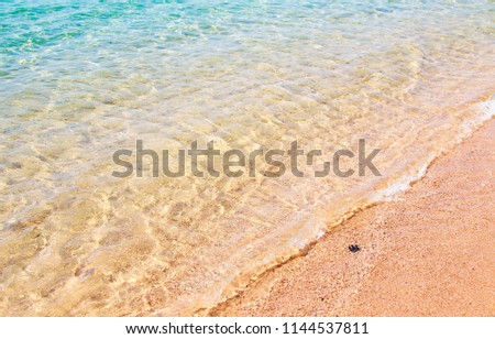 sea sandy coast water
