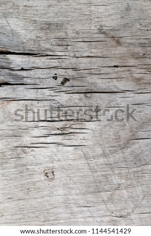 Old wood texture background. Cracks light grey shabby natural backdrop. Copy space concept.