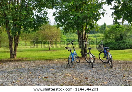 Three bicycles are parking in front of tree.