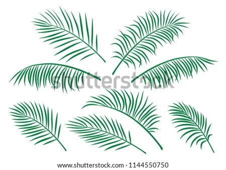 set of green isolated palm leaves