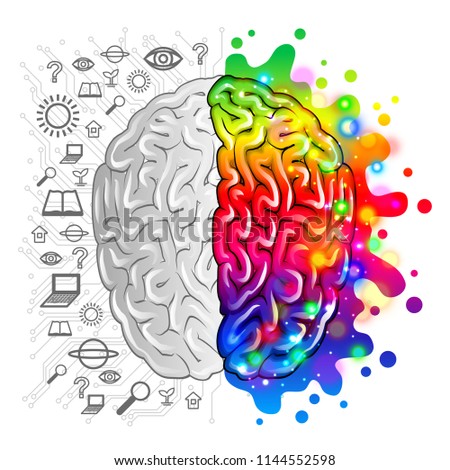 Human brain concept logic and creative vector photo-realistic illustration