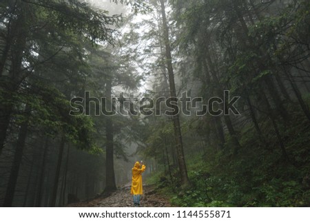 Tourist in yellow raicoat traveling in a natural forest atmosphere in the morning, full of fog and smoke and taking pictue on the phone