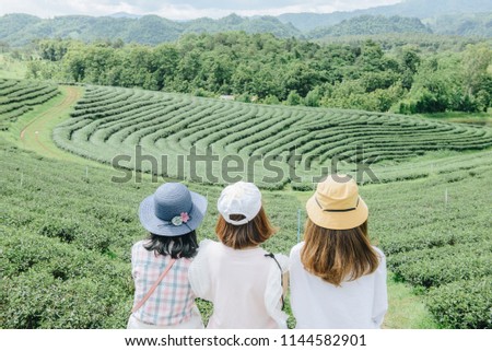 Back view of Asian tourist group looking to the beautiful view in Choui Fong tea plantation in Chiang Rai province of Thailand. Royalty-Free Stock Photo #1144582901