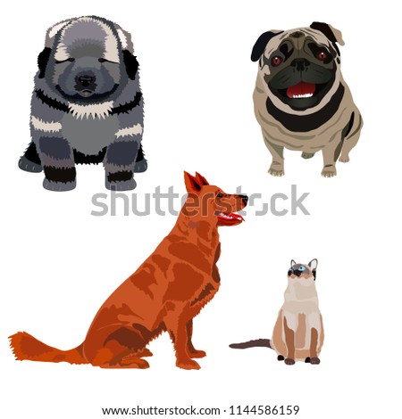 Pets, dogs of different breeds, service, watchdog, bulldog, shepherd, pug and Siamese cat