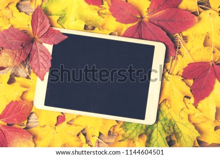Empty chalkboard on maple leaves background, flat lay, top view. Autumn background, copy space. Fall season banner template. Autumn holidays concept. Fall background and mockup for seasonal sales