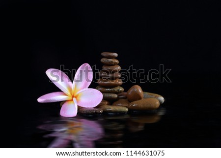 Zen stones with plumeria on dark background
