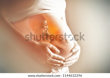 Pregnant woman's belly closeup with a baby inside, conceptual motherhood image Royalty-Free Stock Photo #1144632296