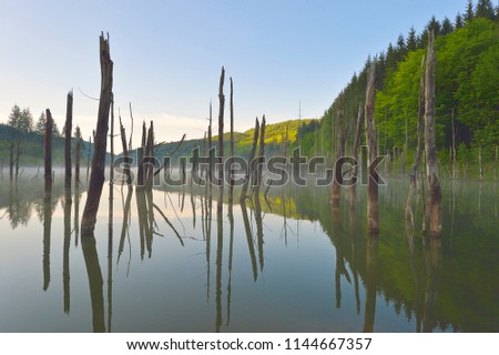 Lake Cuejdel. Judetul Neamt. Romania.
The new lake formed by the slump and sliding of the earth. The lake contains trees in its water.