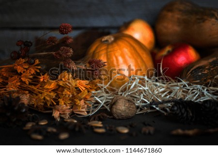 Thanksgiving pumpkins and falling leaves on rustic wooden plank in barn. A rustic autumn still life with dark wood background. Vegetable and fruits on straw in front of old weathered wooden boards.