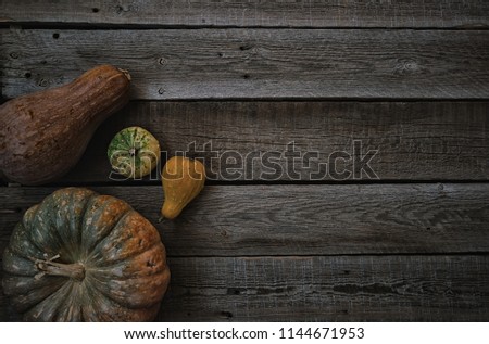 Rustic vintage background with different pumpkins. Thanksgiving Day concept. Top view of varieties of pumpkins and gourds on the off vintage brown background, copy space for text. Toned image.