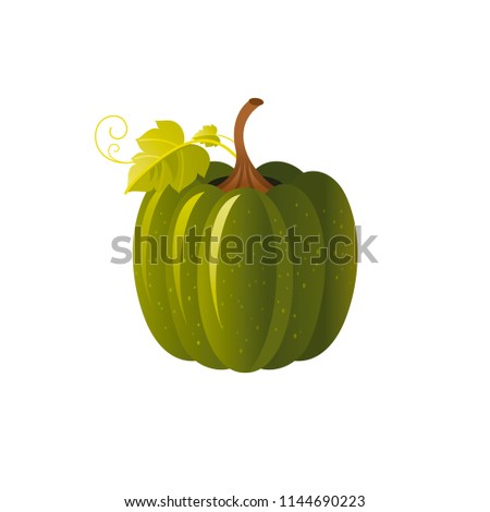 Vector illustration eps10 isolated on white background. Realistic autumn nature symbol, 3d fall holiday concept. Ripe orange pumpkin vegetable, harvest festival cartoon cute icon. Retro flat sign