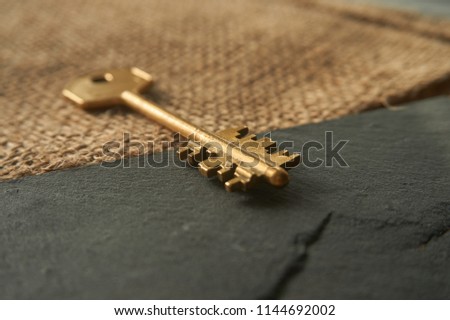 Conceptual close-up of a vintage golden key as symbol for acces, property or security. Selective focus and free copy space.