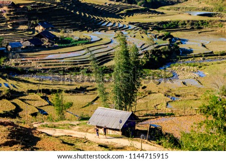 Scenic view of the hills and mountains in Sa Pa with ricefields and a wooden house in the foreground at the golden hour with a blue sky in Vietnam, showing agriculture and farming in that area