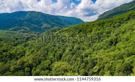 Aerial landscape of the Caucasus Mountains, forest, trees. Shot from drone.