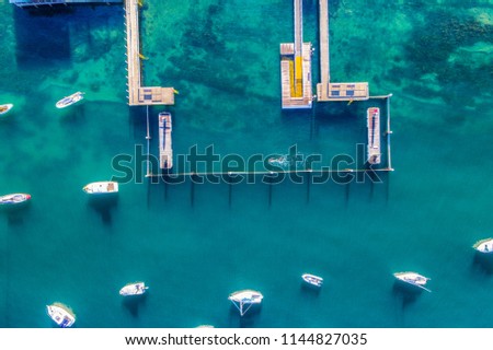 Aerial shot of a swimmer in the Watsons Bay harbour