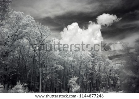 Landscape Photography, High Contrast, Wideband Infrared Photo Captured With Full Spectrum Camera Equipment