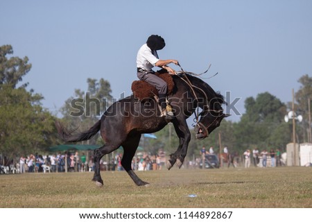 Horses Rodeo argentina gauchos Royalty-Free Stock Photo #1144892867
