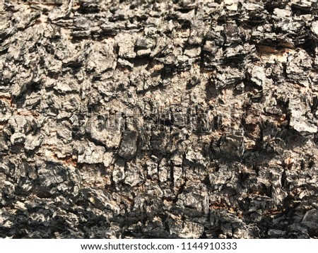 seamless tree bark texture, wooden brown color