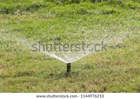 Defocused, Irrigation system watering the green grass with bokeh background.