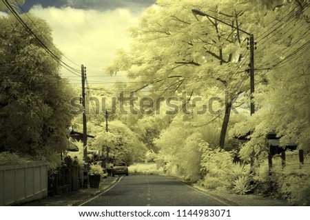 The trees-covered street in a small village from near infrared style by IR mode.garden in paradise concept.                  