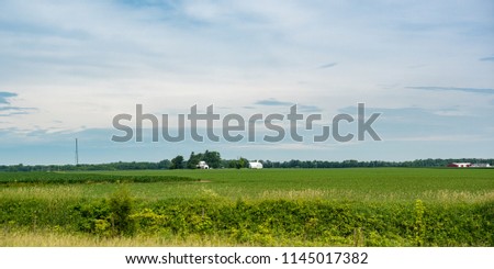 Agricultural banner of corn and soybean fields with farms in the distance with room for copy at the top