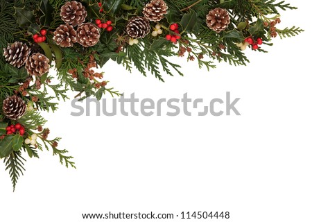 Christmas border of holly, ivy, mistletoe and cedar cypress leaf sprigs with pine cones over white background.