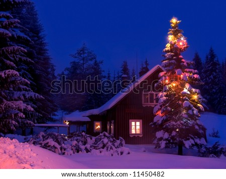 Romantic view on the snowy Christmas illuminated tree at the cottage in mountains at night. 