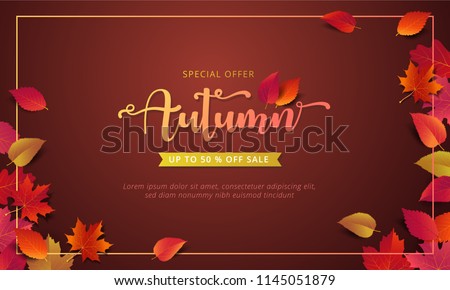 Autumn sale banner layout template decorate with maple and realistic leaves in warm color tone for shopping sale or promotion poster, leaflet and web banner. Vector illustration .