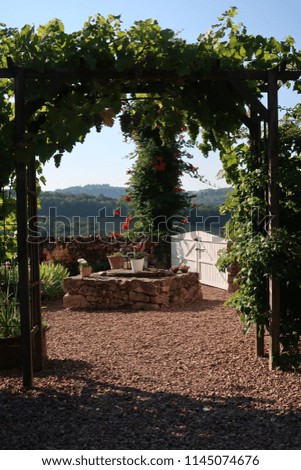 French garden with bow of grapes