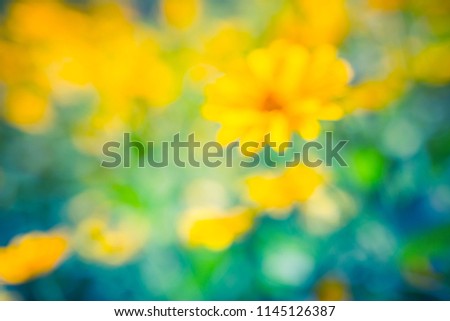 Abstract nature background. Blurred summer spring flowers concept, blurry colors and nature design elements for nature template
