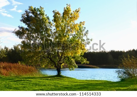 Picturesque autumn landscape with lake
