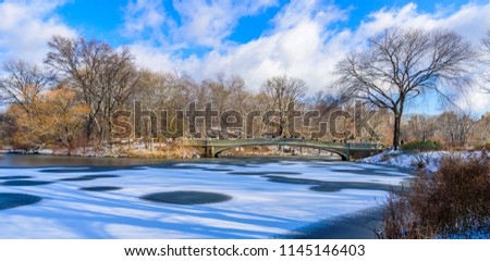 Bow bridge in the winter at sunny day, Central Park, Manhattan, New York City, USA