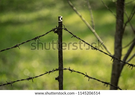 barbed wire fence on green background with tree leaves and vegetation in summer light