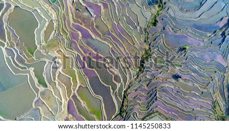 Unique aerial view on colorful  rice paddies. Yuanyang, southern Yunnan, China. 