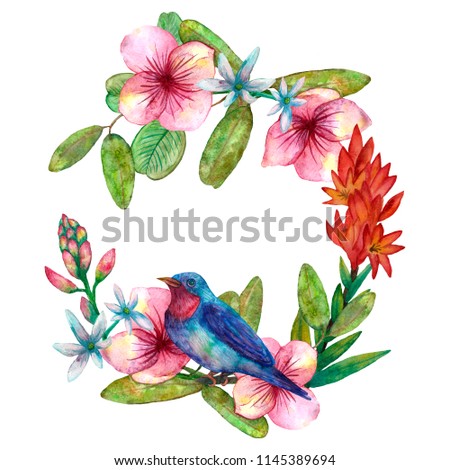 Wreath exotic colorful bird and flowers watercolor illustration. Isolated on white. Hand drawn watercolor. For greeting card,  invitation, background, design.
