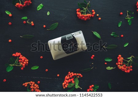 Generic plastic vintage retro film camera flat lay on dark background decorated with wild berry fruit arrangement