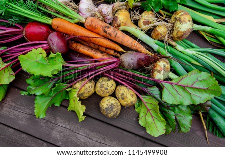 Freshly harvested vegetables on wooden floor outdoor top view Royalty-Free Stock Photo #1145499908