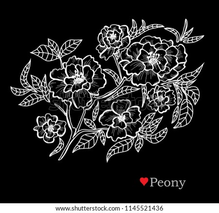 Decorative peony  flowers, design elements. Can be used for cards, invitations, banners, posters, print design. Floral background in line art style