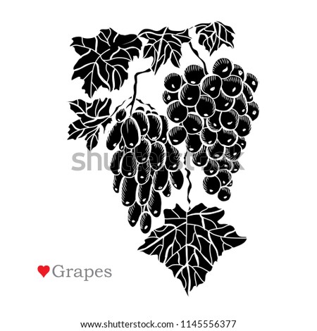 Decorative  grapes, design elements. Can be used for cards, invitations, banners, posters, print design. Fruitl background in line art style