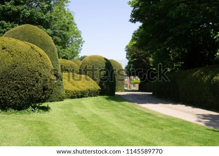Trimmed trees in an old manor house in England